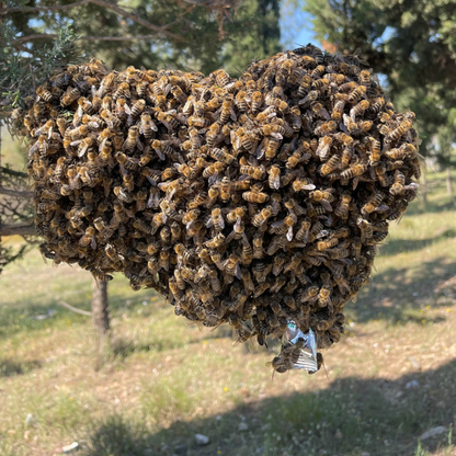 Mamac za rojeve - kesica
