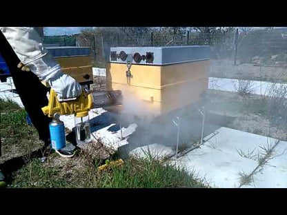 Dimni top - ANEL - Fogger